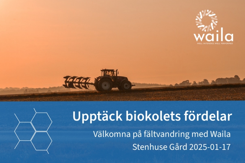 Upptäck Biokolets fördelar. Välkomna på fältvandring med Waila på Stenhuse Gård 2025-01-17